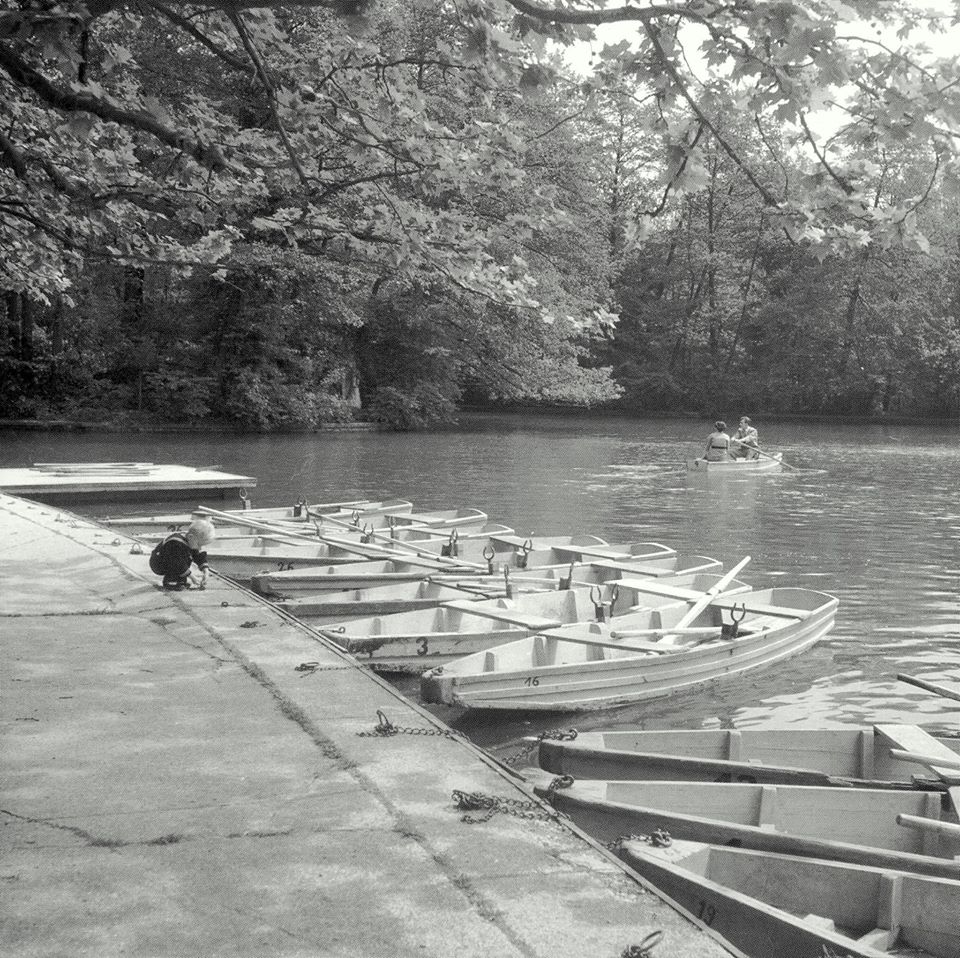 Park Maksimir 1955. godine
